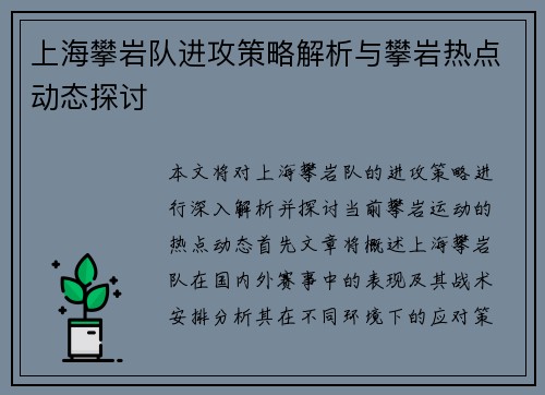 上海攀岩队进攻策略解析与攀岩热点动态探讨