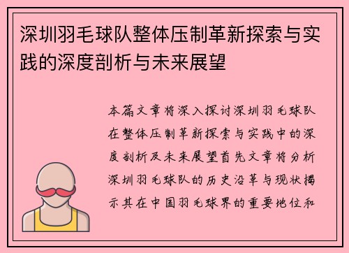 深圳羽毛球队整体压制革新探索与实践的深度剖析与未来展望