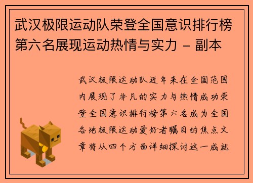 武汉极限运动队荣登全国意识排行榜第六名展现运动热情与实力 - 副本